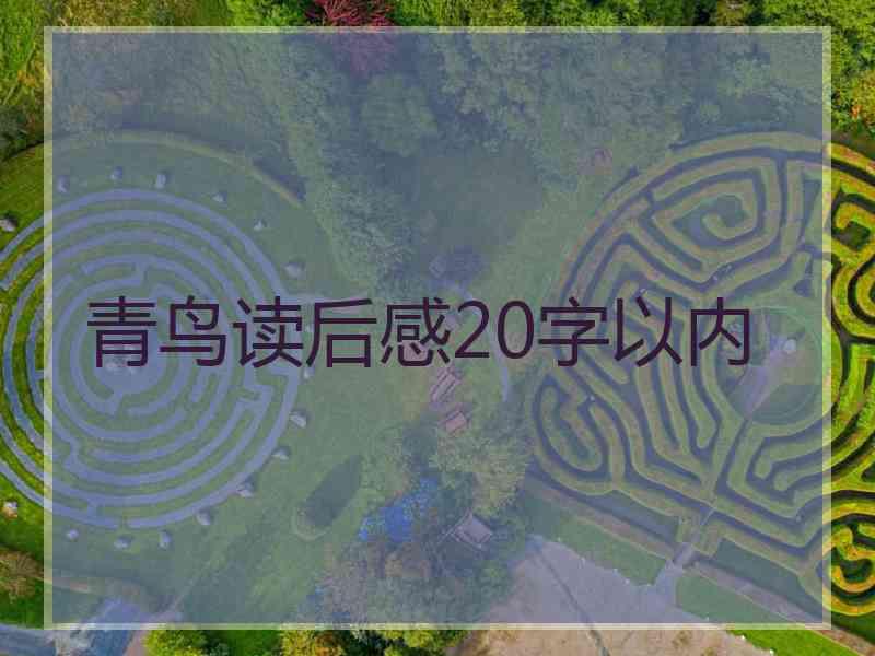 青鸟读后感20字以内 青鸟读后感20字以内