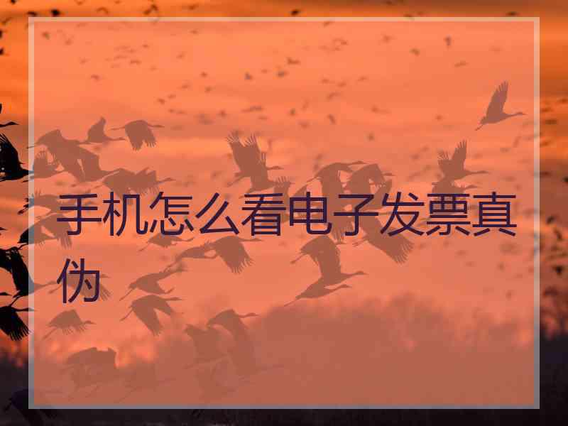 手机怎么看电子发票真伪 手机怎么看电子发票真伪