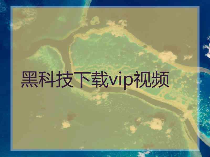 黑科技下载vip视频