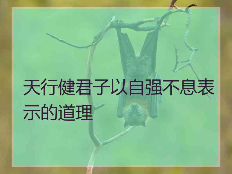 天行健君子以自强不息表示的道理