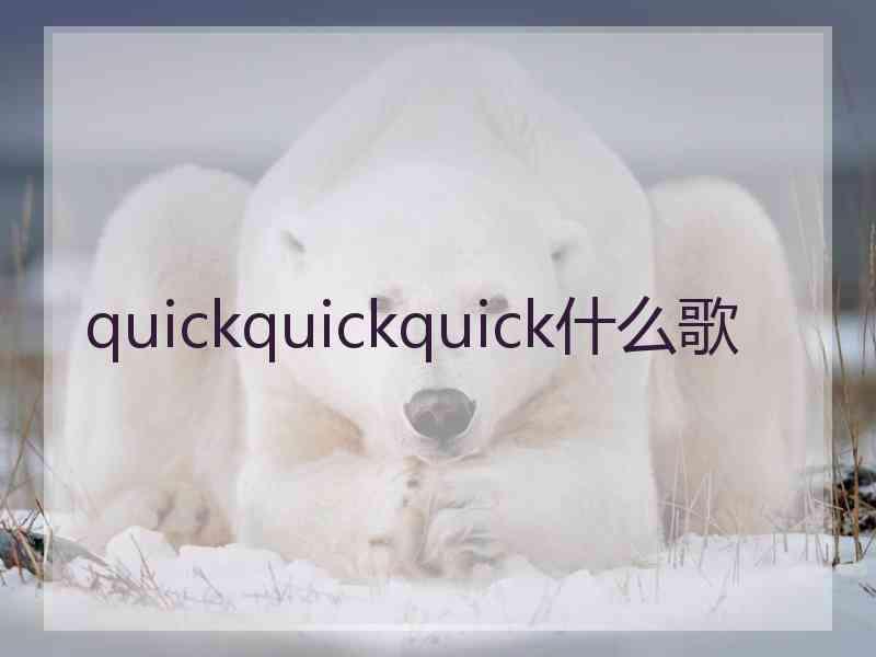 quickquickquick什么歌