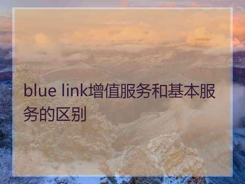 blue link增值服务和基本服务的区别