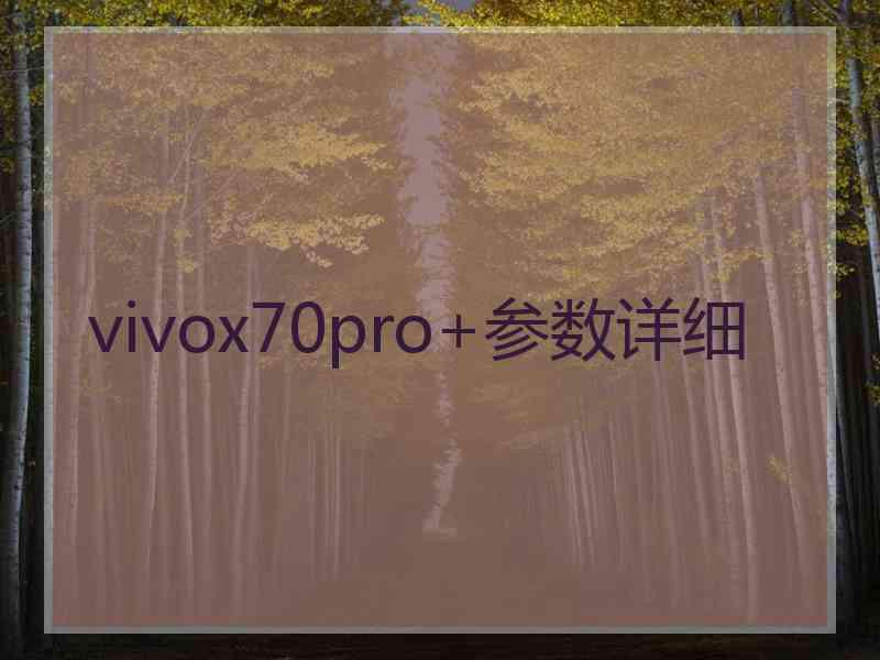 vivox70pro+参数详细