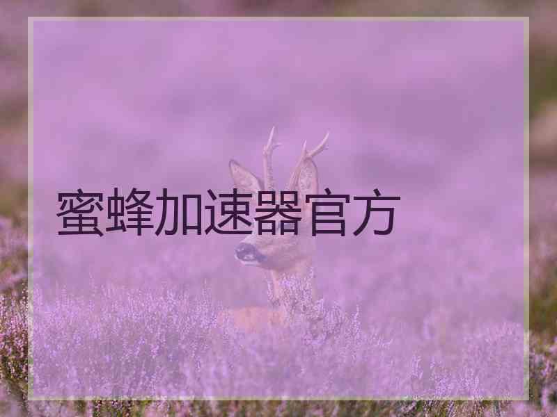 蜜蜂加速器官方