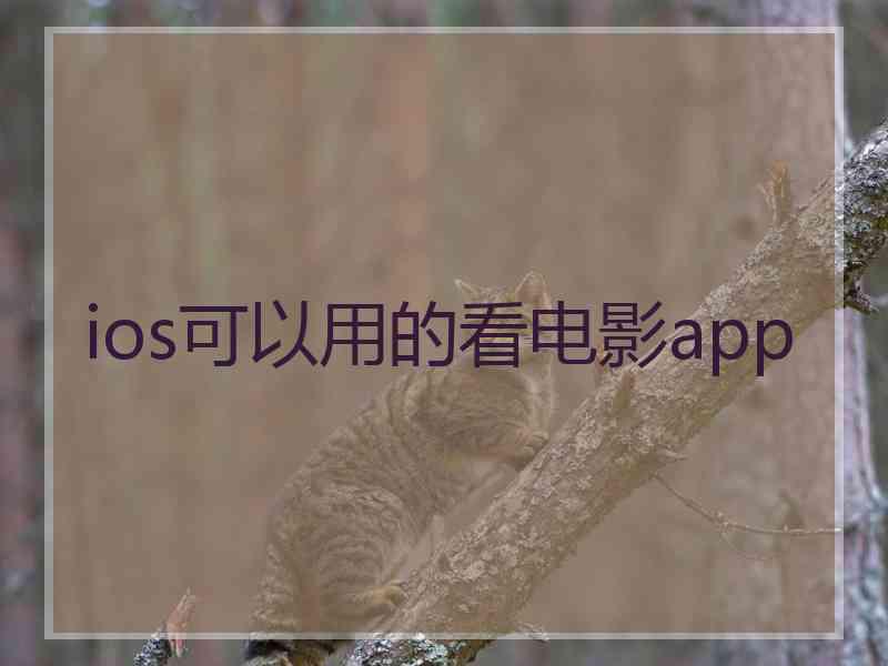 ios可以用的看电影app