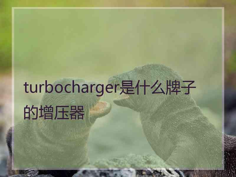 turbocharger是什么牌子的增压器