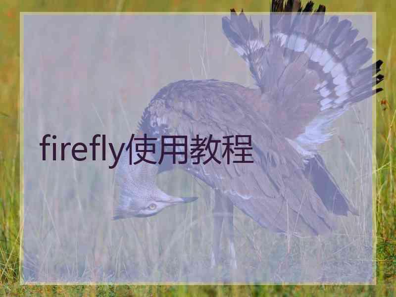 firefly使用教程