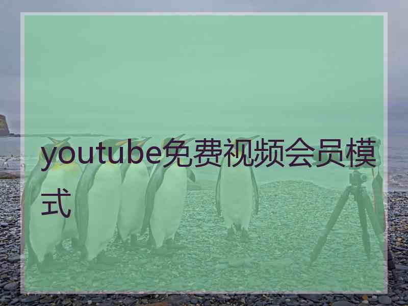 youtube免费视频会员模式