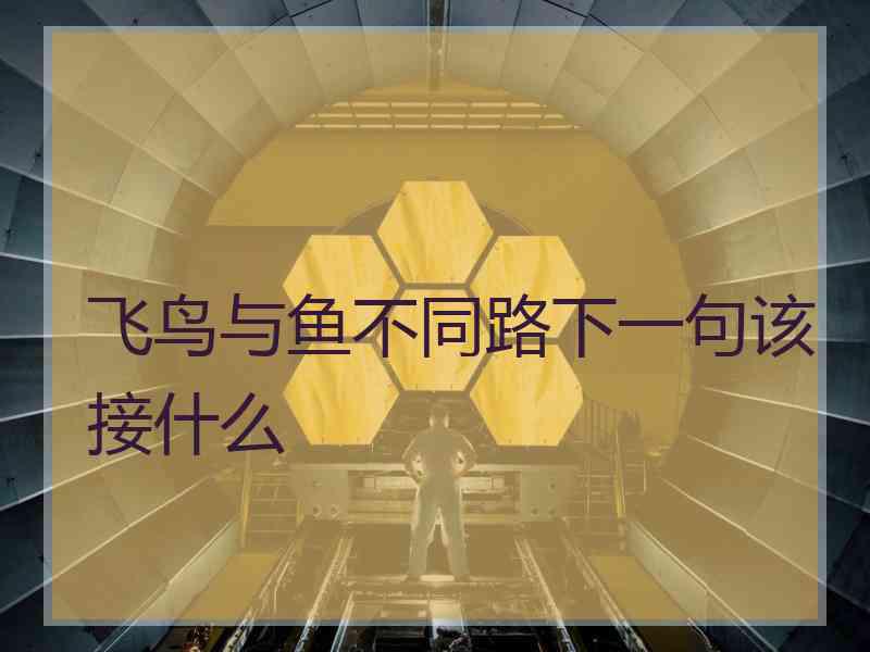 飞鸟与鱼不同路下一句该接什么