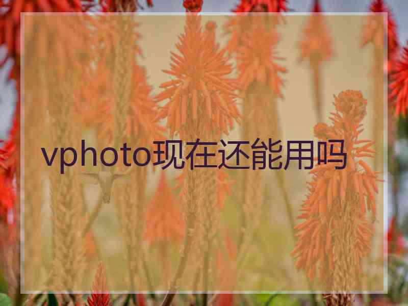 vphoto现在还能用吗