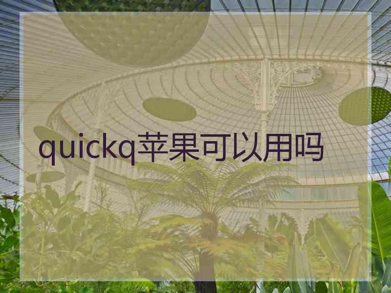 quickq苹果可以用吗