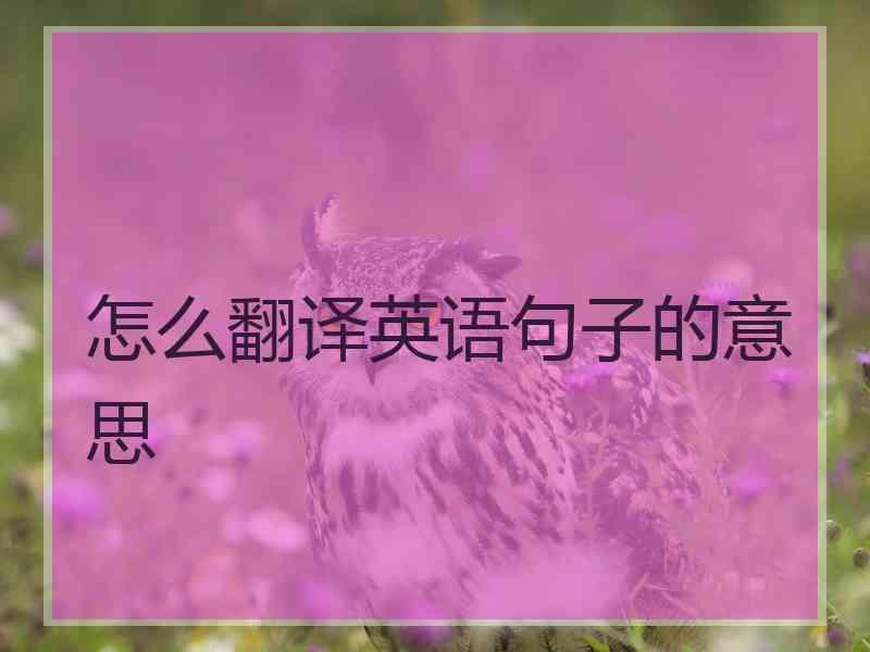 怎么翻译英语句子的意思