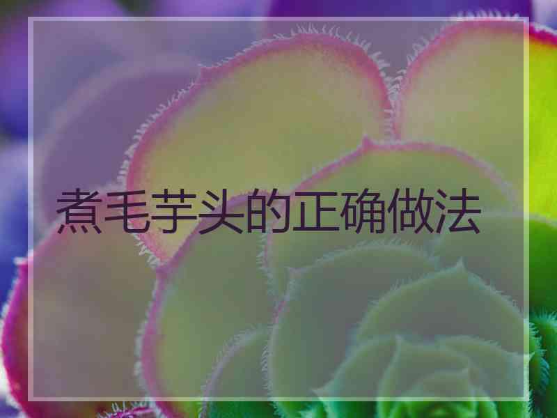 煮毛芋头的正确做法