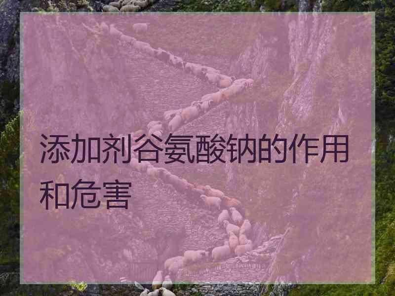 添加剂谷氨酸钠的作用和危害