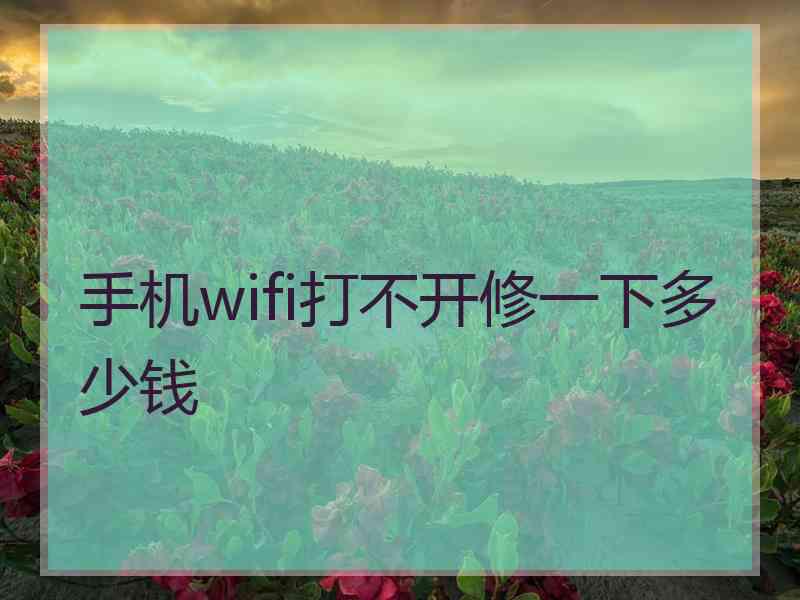 手机wifi打不开修一下多少钱