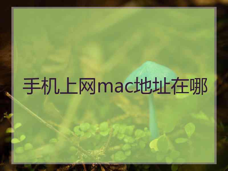 手机上网mac地址在哪