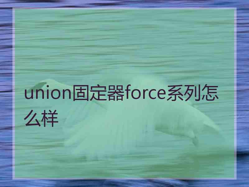 union固定器force系列怎么样