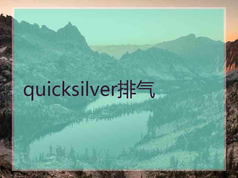 quicksilver排气