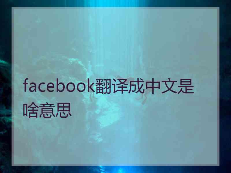 facebook翻译成中文是啥意思