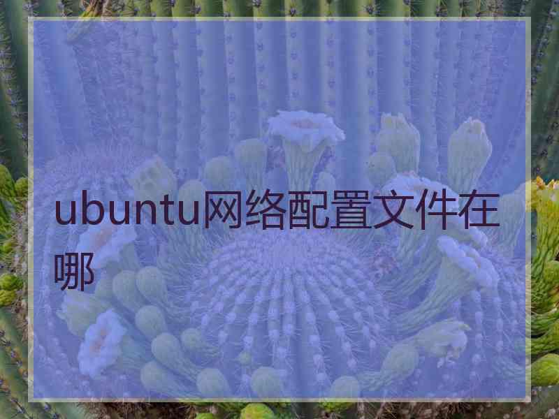 ubuntu网络配置文件在哪