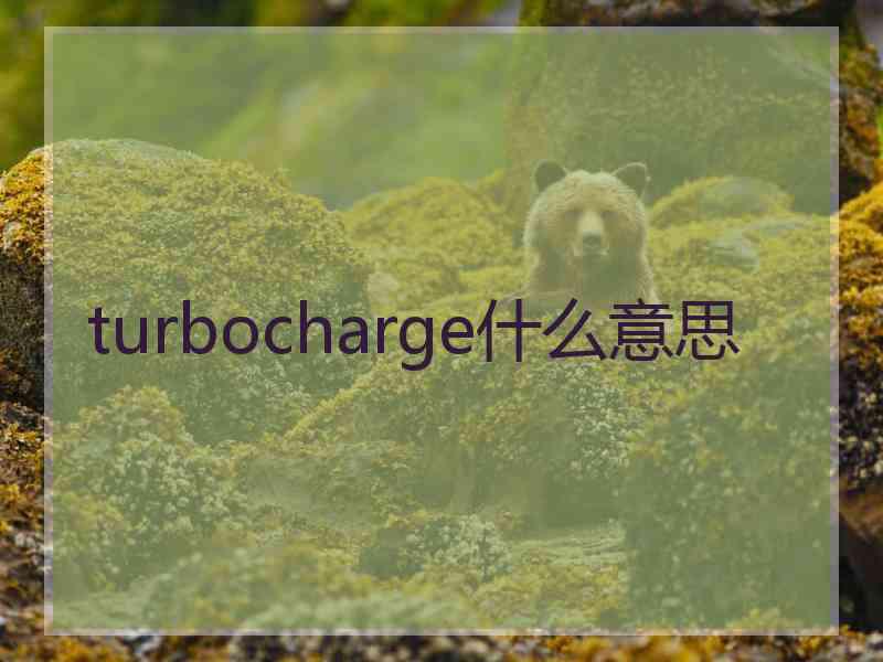 turbocharge什么意思