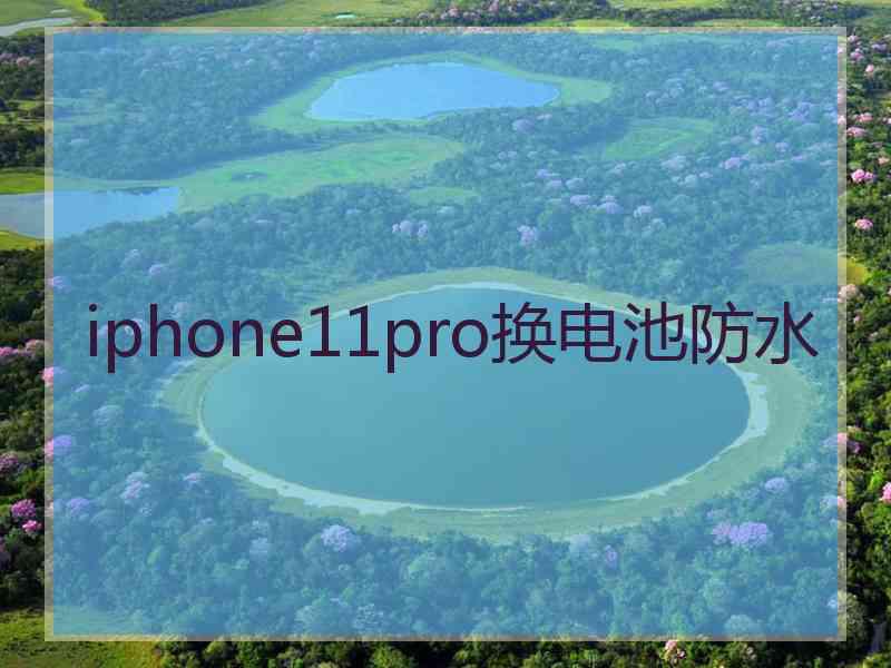 iphone11pro换电池防水