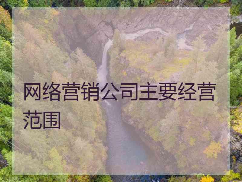 网络营销公司主要经营范围