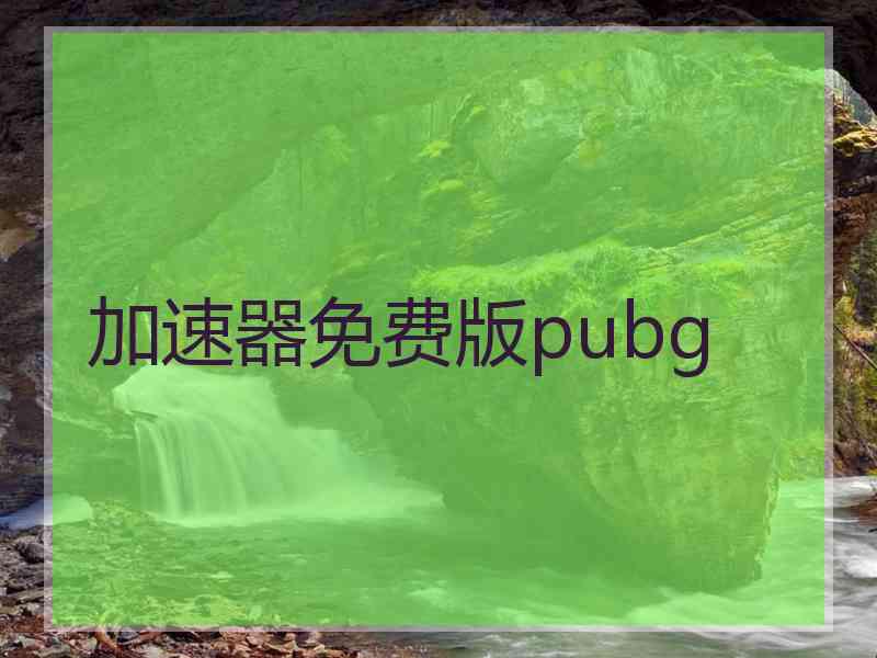 加速器免费版pubg