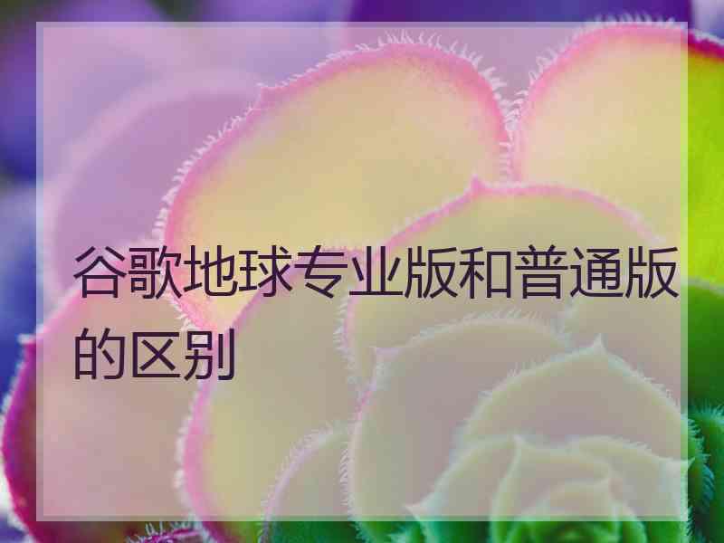 谷歌地球专业版和普通版的区别