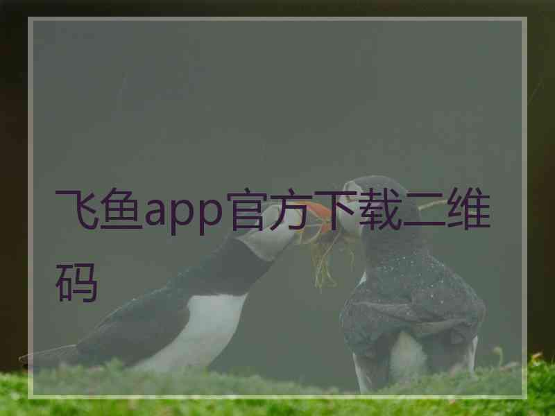 飞鱼app官方下载二维码