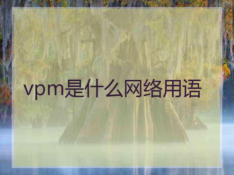 vpm是什么网络用语