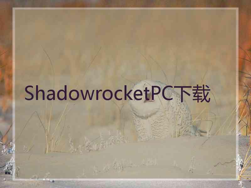 ShadowrocketPC下载