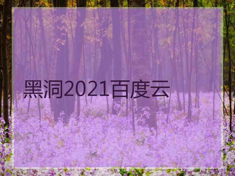 黑洞2021百度云