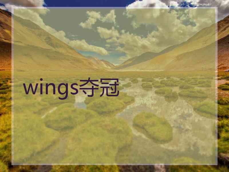 wings夺冠