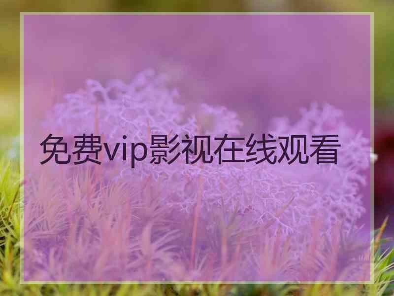 免费vip影视在线观看