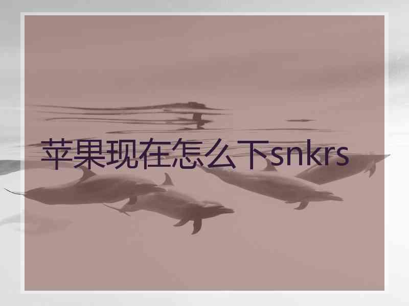 苹果现在怎么下snkrs