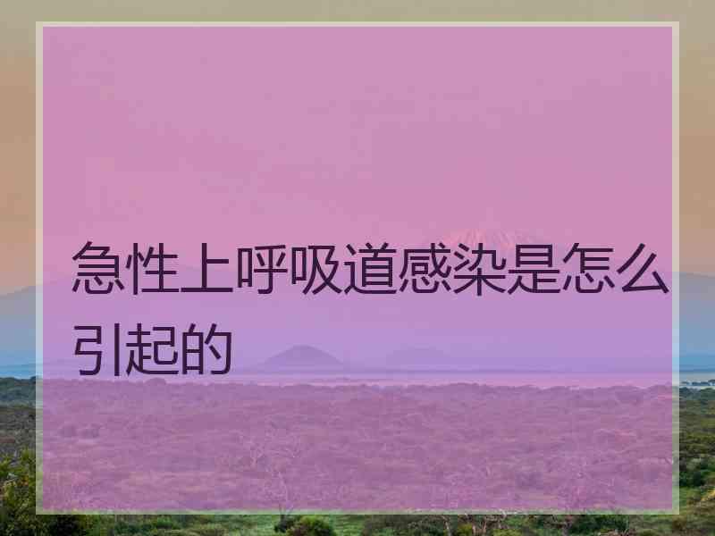 急性上呼吸道感染是怎么引起的