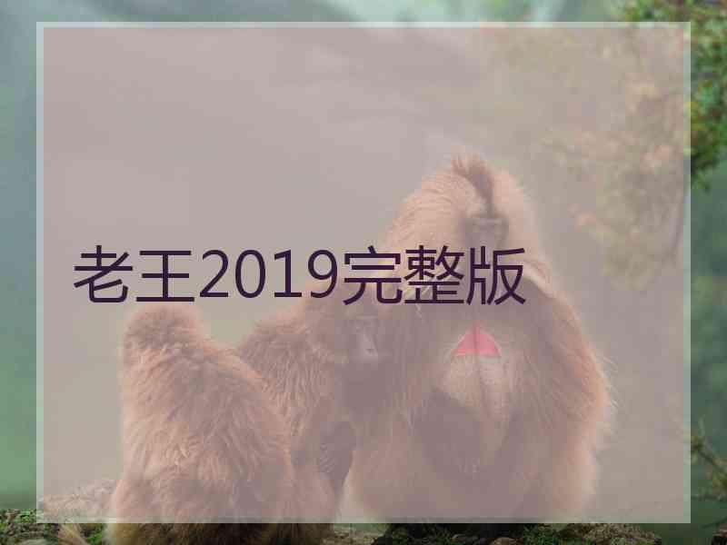 老王2019完整版