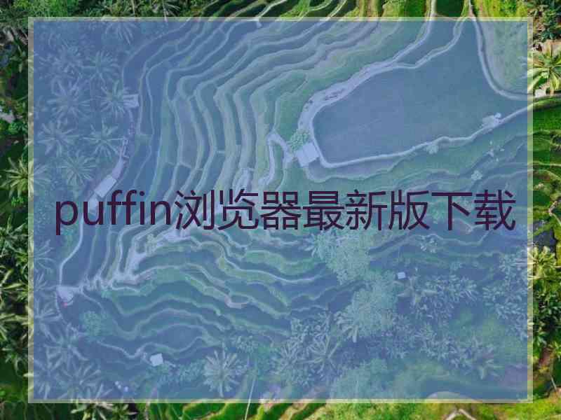 puffin浏览器最新版下载