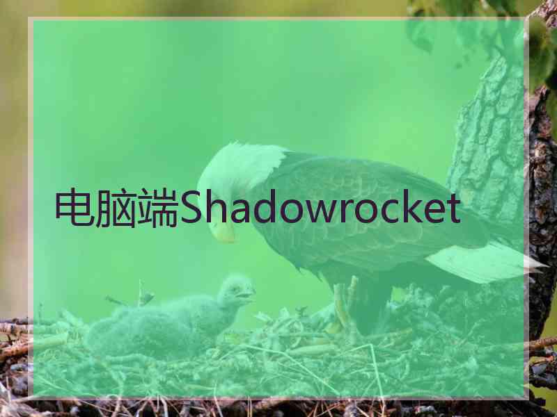 电脑端Shadowrocket