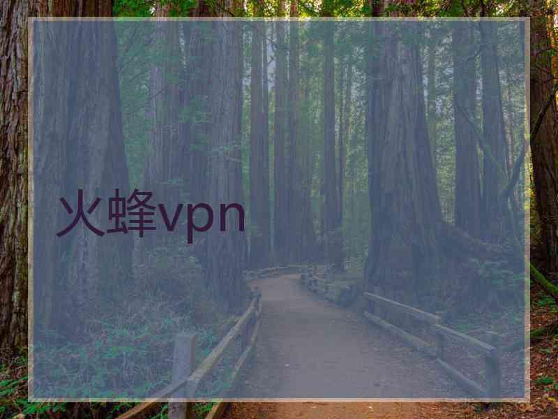 火蜂vpn