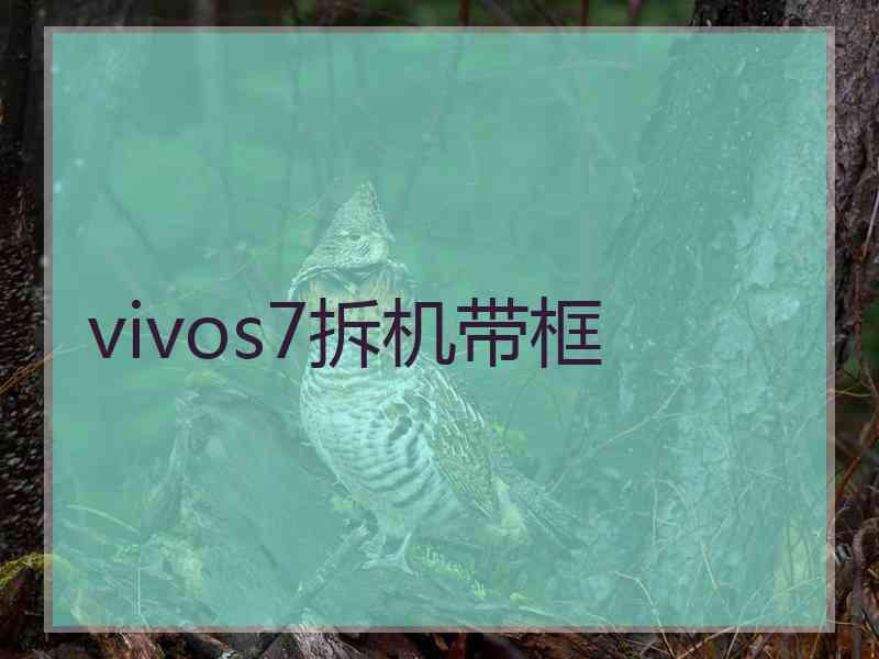 vivos7拆机带框