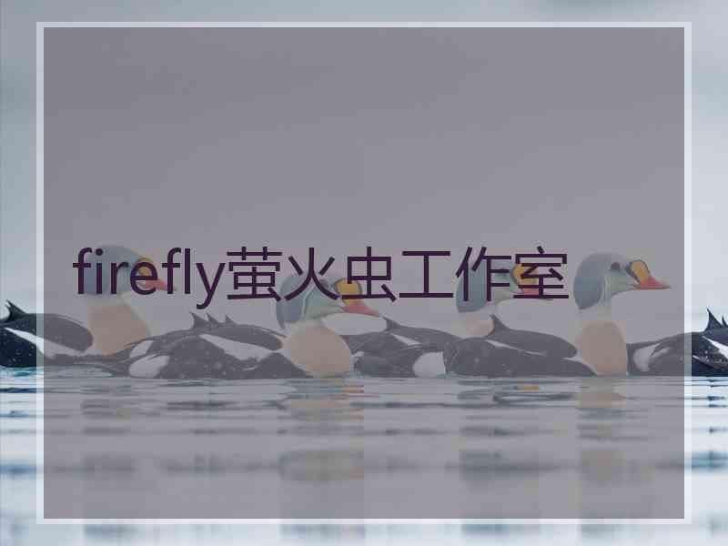 firefly萤火虫工作室