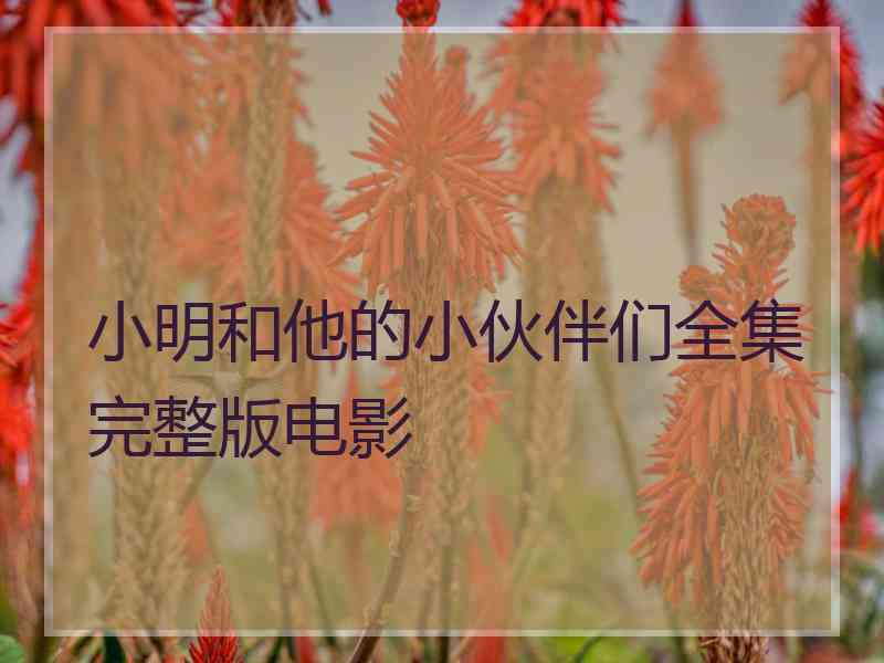 小明和他的小伙伴们全集完整版电影