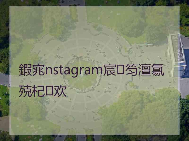 鍜宨nstagram宸笉澶氱殑杞欢