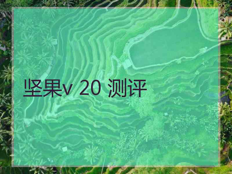 坚果v 20 测评