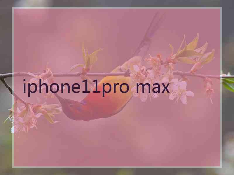 iphone11pro max