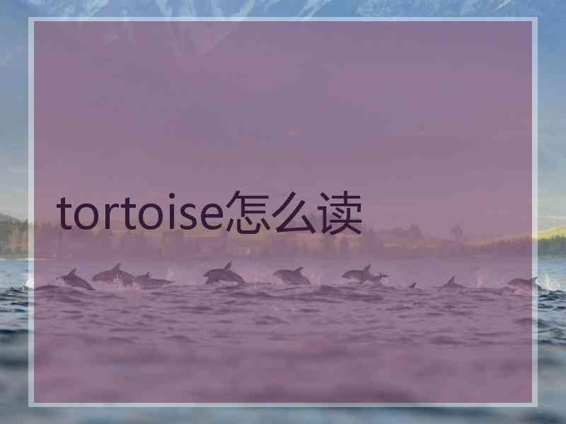 tortoise怎么读