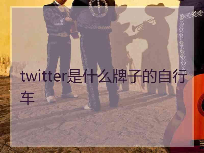 twitter是什么牌子的自行车