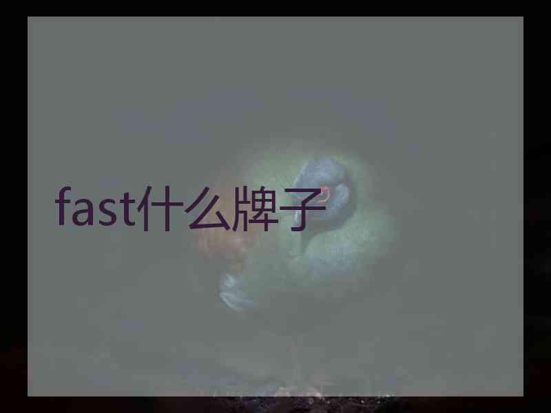 fast什么牌子